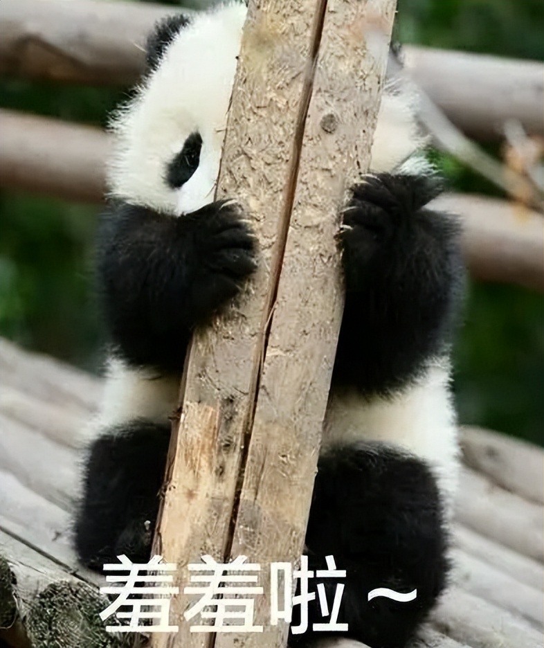 脸没露就火成男神?国内COS圈也流行黑皮猛男,八块腹肌辣哭网友