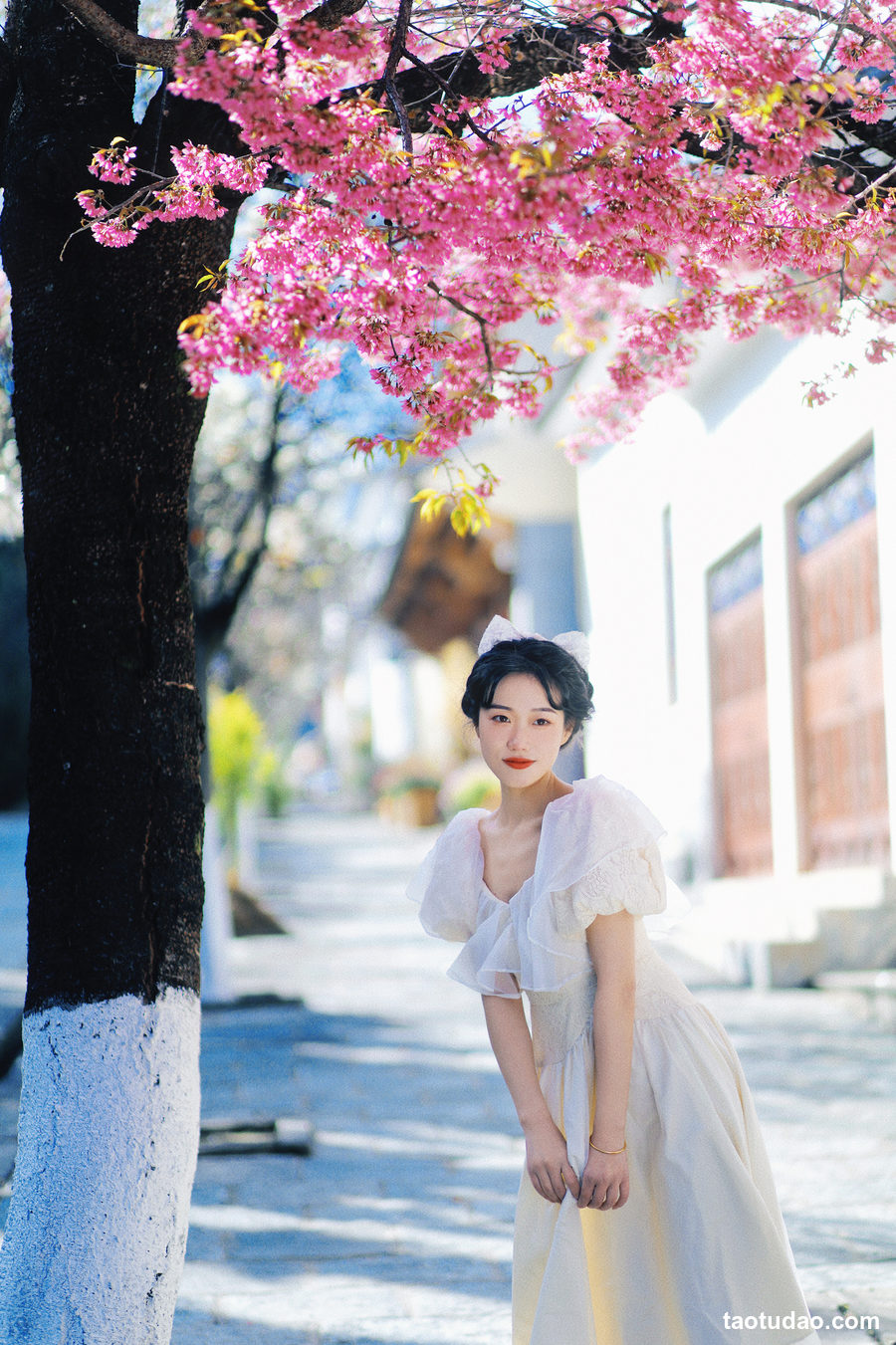 图片[3]-[YITUYU艺图语]2023.04.19 冬樱花下 迟白 [22+1P／254MB]-绅士图