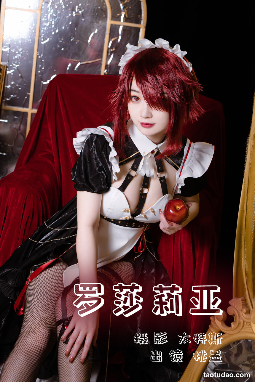 桃墨公子 - NO.05 罗莎莉亚 [22P-344MB]-绅士图