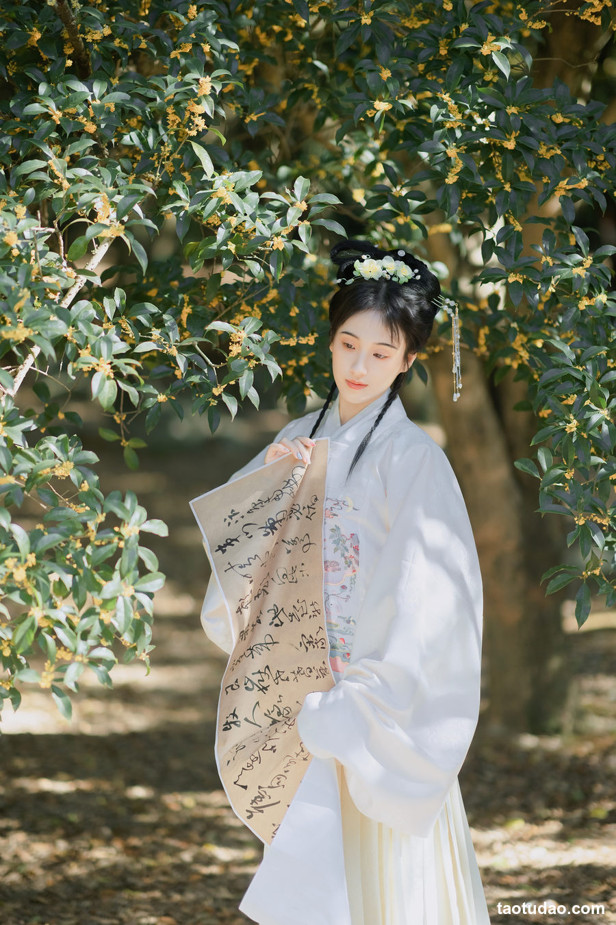 图片[3]-[YITUYU艺图语]2023.02.12 折桂令 方莛玉[32+1P／313MB]-绅士图