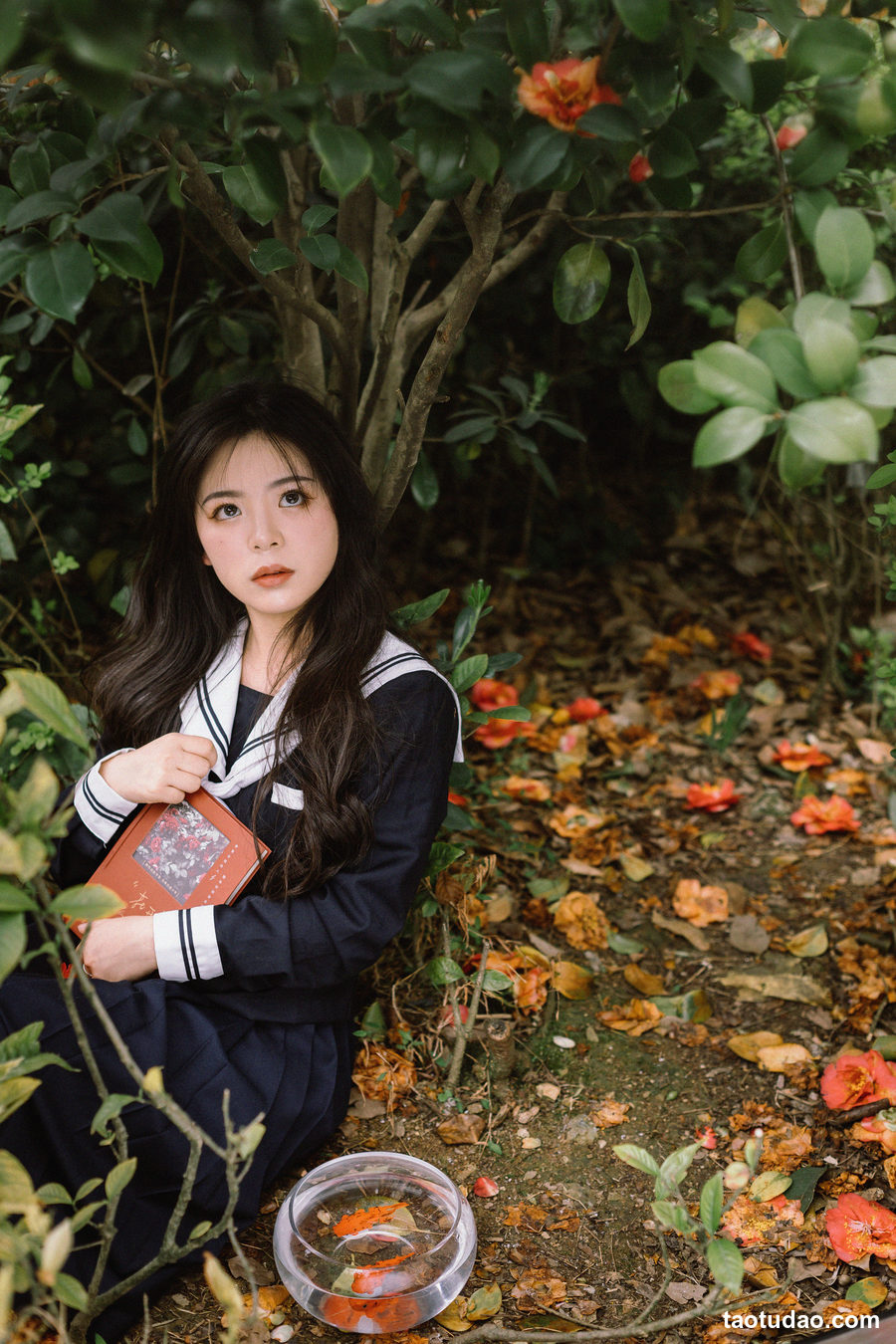 图片[3]-[YITUYU艺图语]2023.04.09 茶花树下的少女 是小白噢[25+1P／1.00GB]-绅士图