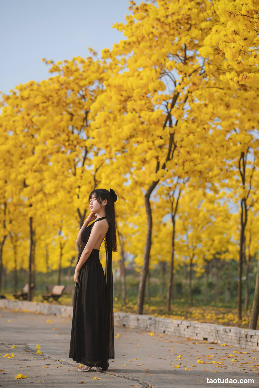 图片[3]-萌芽儿 – NO.25 秋有银杏 春有黄风铃 [24P-336MB]-绅士图