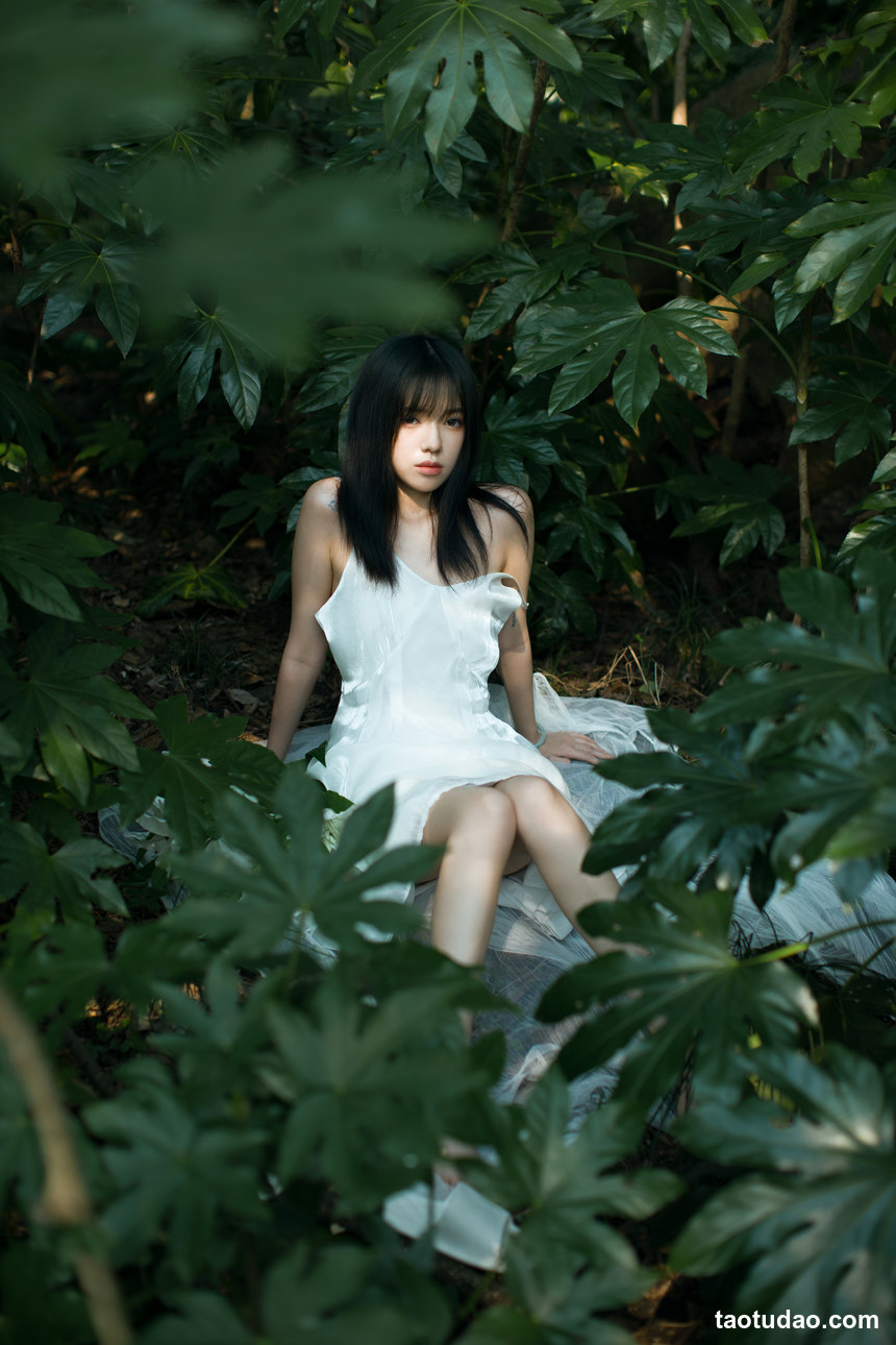 图片[2]-[YITUYU艺图语]2022.12.11 绿野仙踪 唧唧[22+1P／293MB]-绅士图