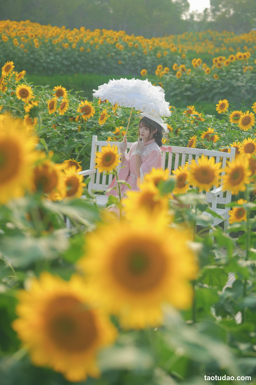 图片[3]-兔子Zzz不吃胡萝卜 – NO.123 向日葵的回忆 [22P-288MB]-绅士图