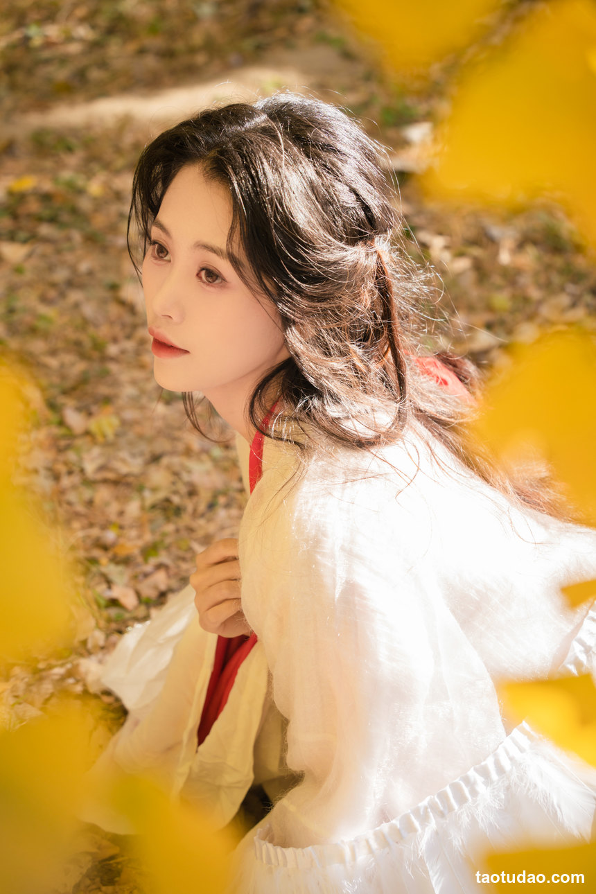 图片[4]-[YITUYU艺图语]2022.11.30 银杏 青霜鹅[25+1P／393MB]-绅士图