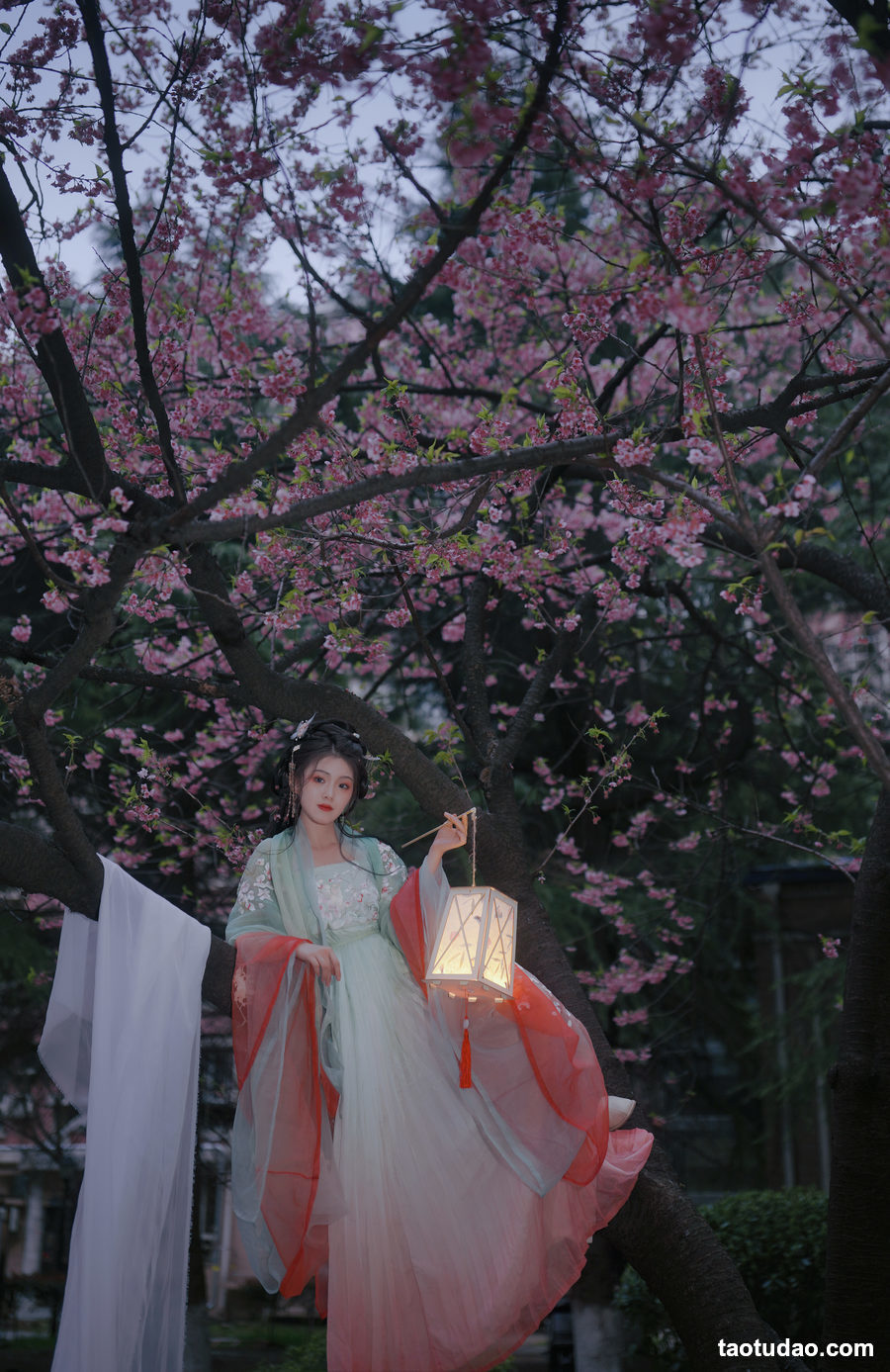 图片[4]-[YITUYU艺图语]2023.03.21 弄花香满衣 悦璃[21+1P／345MB]-绅士图