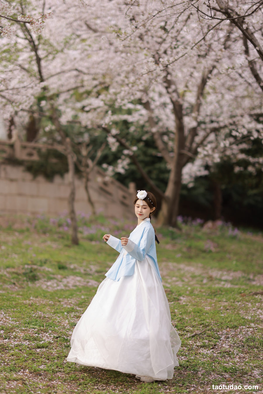 图片[3]-[YITUYU艺图语]2023.04.23 探一场樱花 酸奶加心好好次 [31+1P／425MB]-绅士图