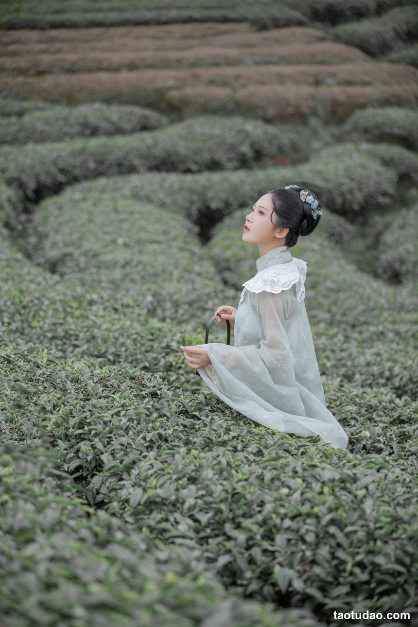 图片[4]-[YITUYU艺图语]2022.07.07 茶记 katycat[19+1P／266MB]-绅士图