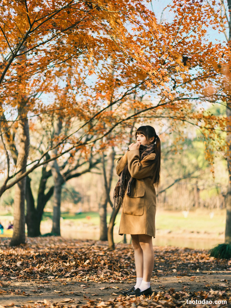 图片[2]-[YITUYU艺图语]2023.02.17 枫 宵宵喵[33+1P／472MB]-绅士图