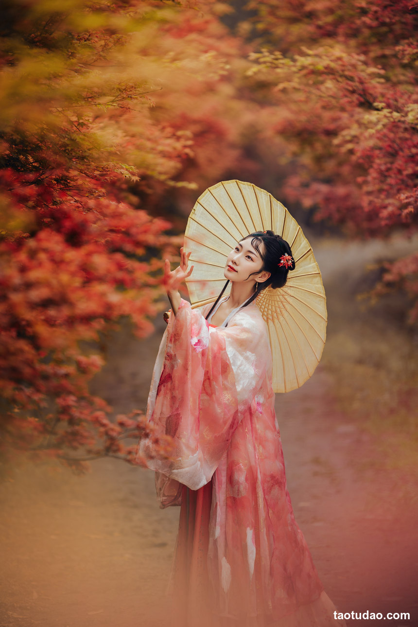 图片[4]-[YITUYU艺图语]2022.06.01 枫意 木景抒[20+1P／325MB]-绅士图