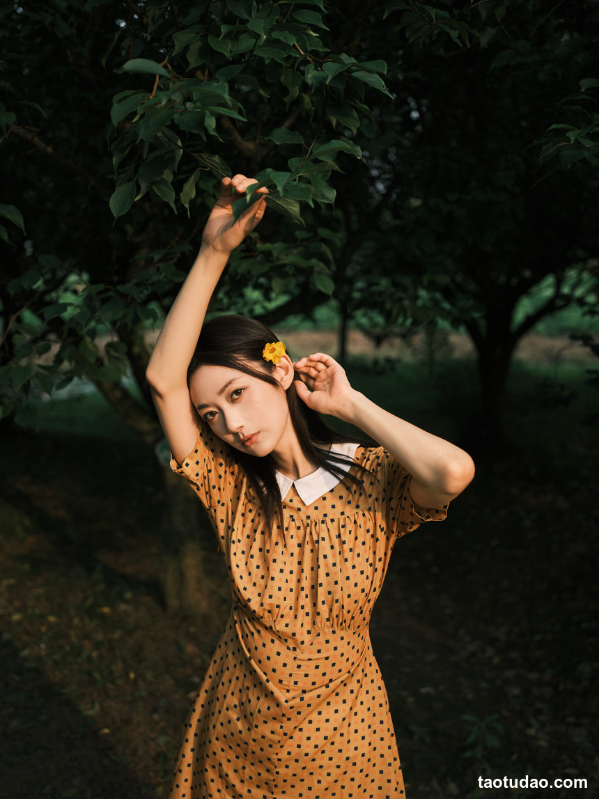 图片[3]-[YITUYU艺图语]2022.08.08 硫华菊&柳叶马鞭草-是夏天的味道呀！ 飞鸟咕咕-[43+1P／1.08GB]-绅士图