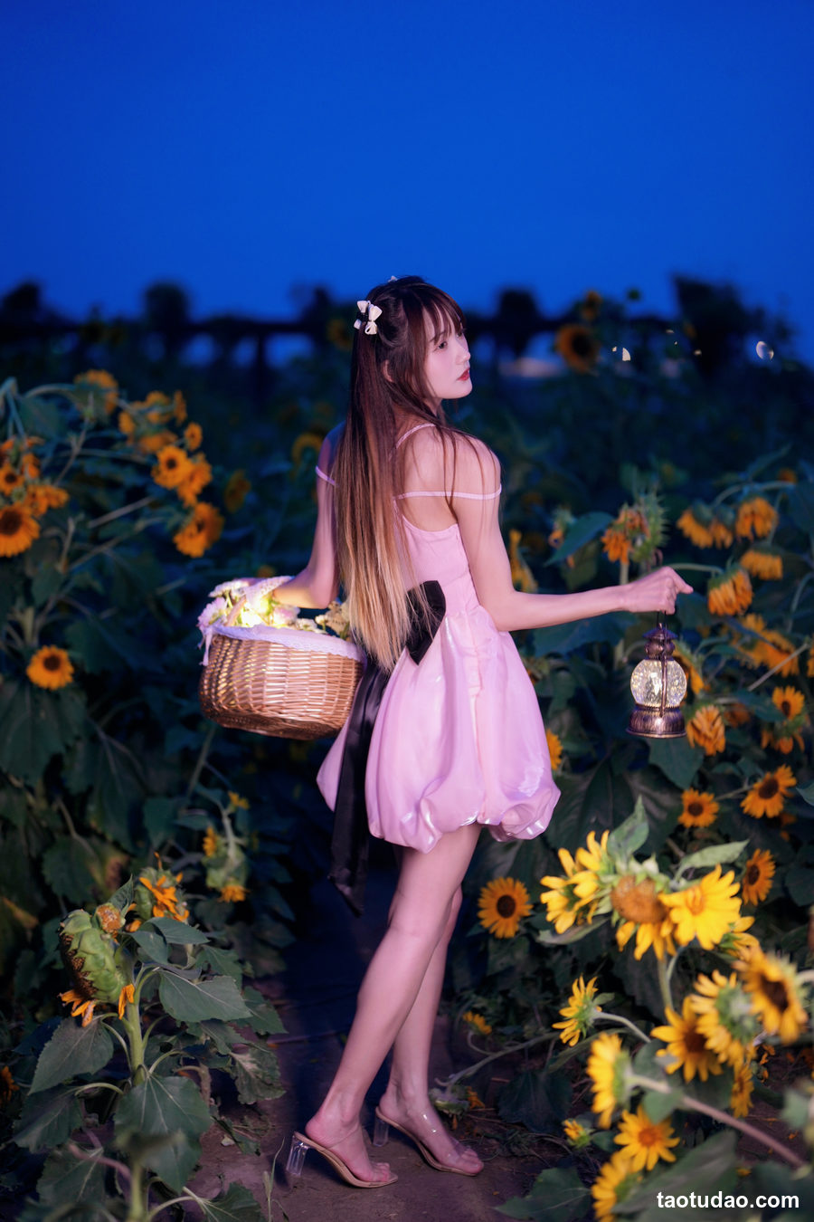 图片[2]-兔子Zzz不吃胡萝卜 –  蓝调向日葵少女 [28P-316MB]-绅士图