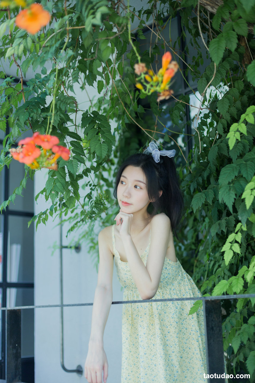 图片[4]-[YITUYU艺图语]2022.08.18 夏日凌霄 饲猫少女-[32+1P／311MB]-绅士图