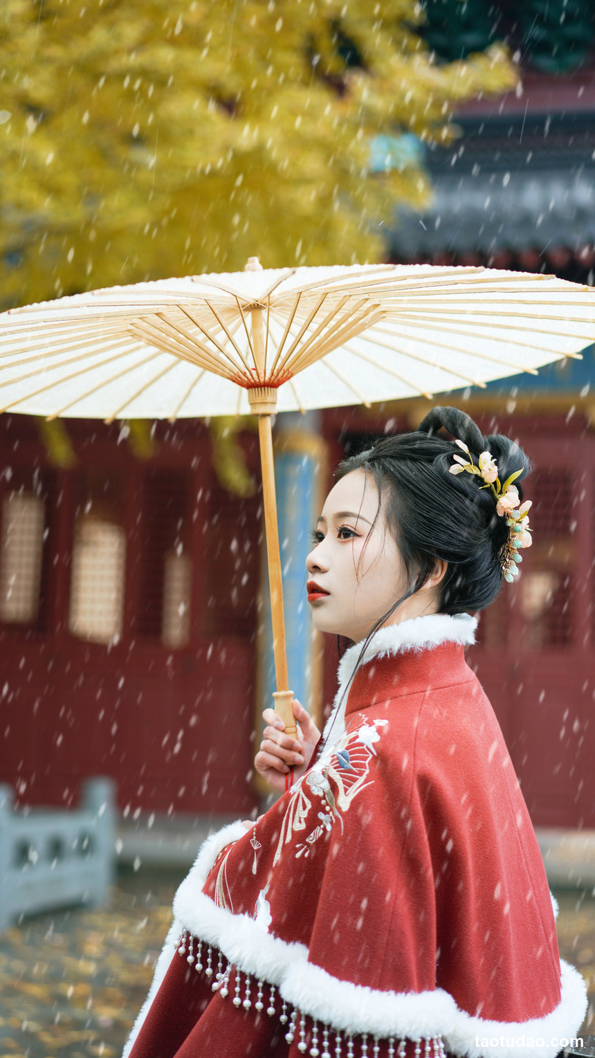 图片[3]-[YITUYU艺图语]2022.12.22 初雪 旺旺小小舒[22+1P／365MB]-绅士图