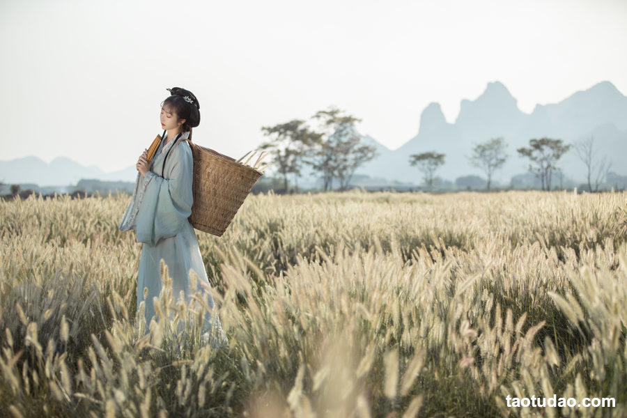 图片[3]-[YITUYU艺图语]2023.03.29 秋风引 丸子有只猫[25+1P／340MB]-绅士图