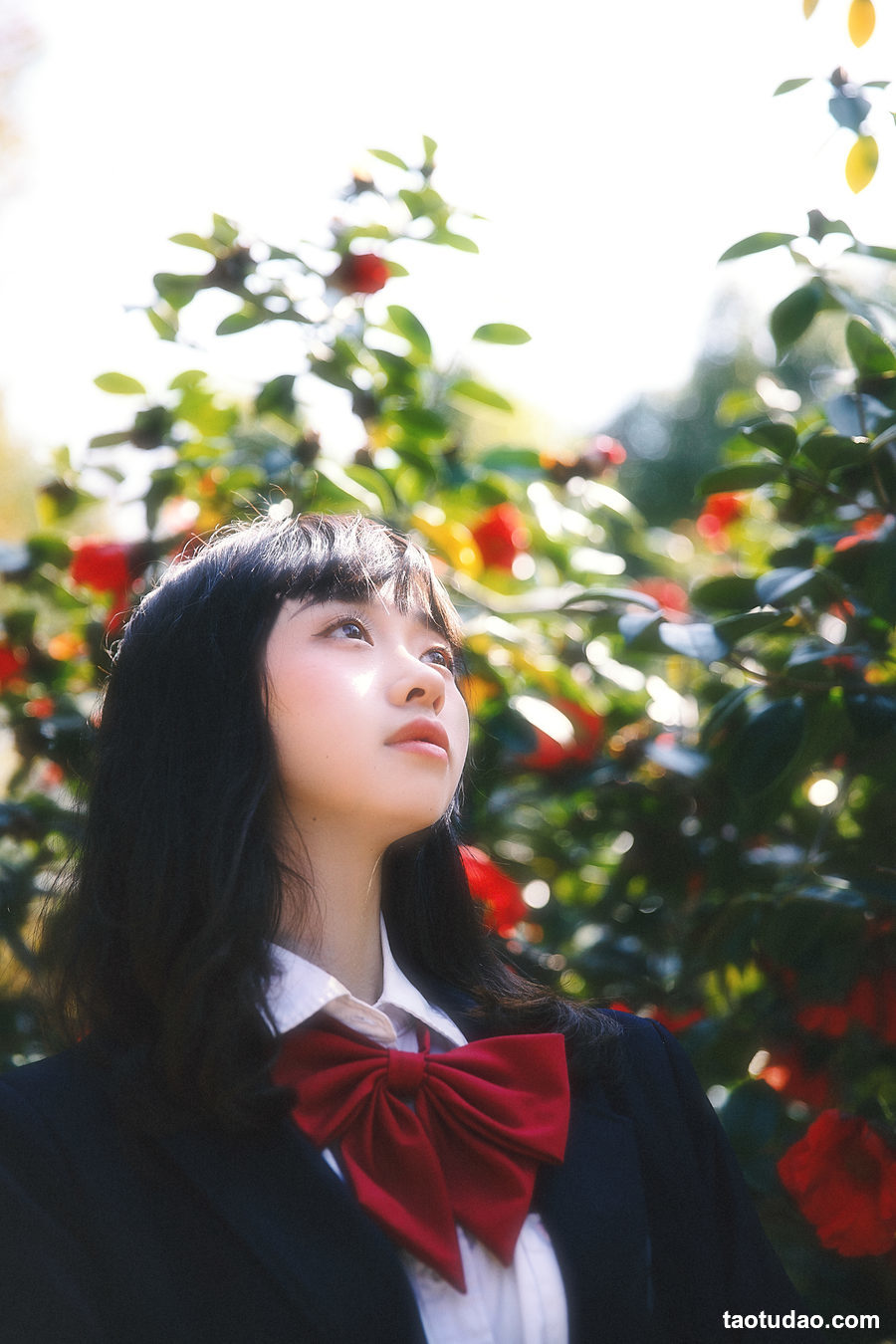 图片[3]-[YITUYU艺图语]2023.03.23 山茶花又开 natasha[26+1P／478MB]-绅士图