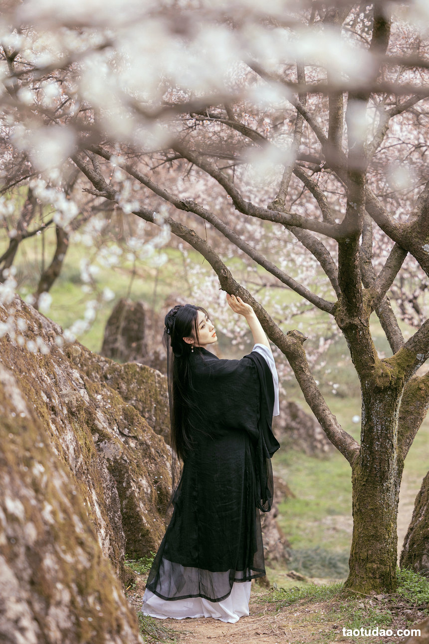 图片[4]-[YITUYU艺图语]2022.04.24 樱花 木景抒[42+1P／558MB]-绅士图