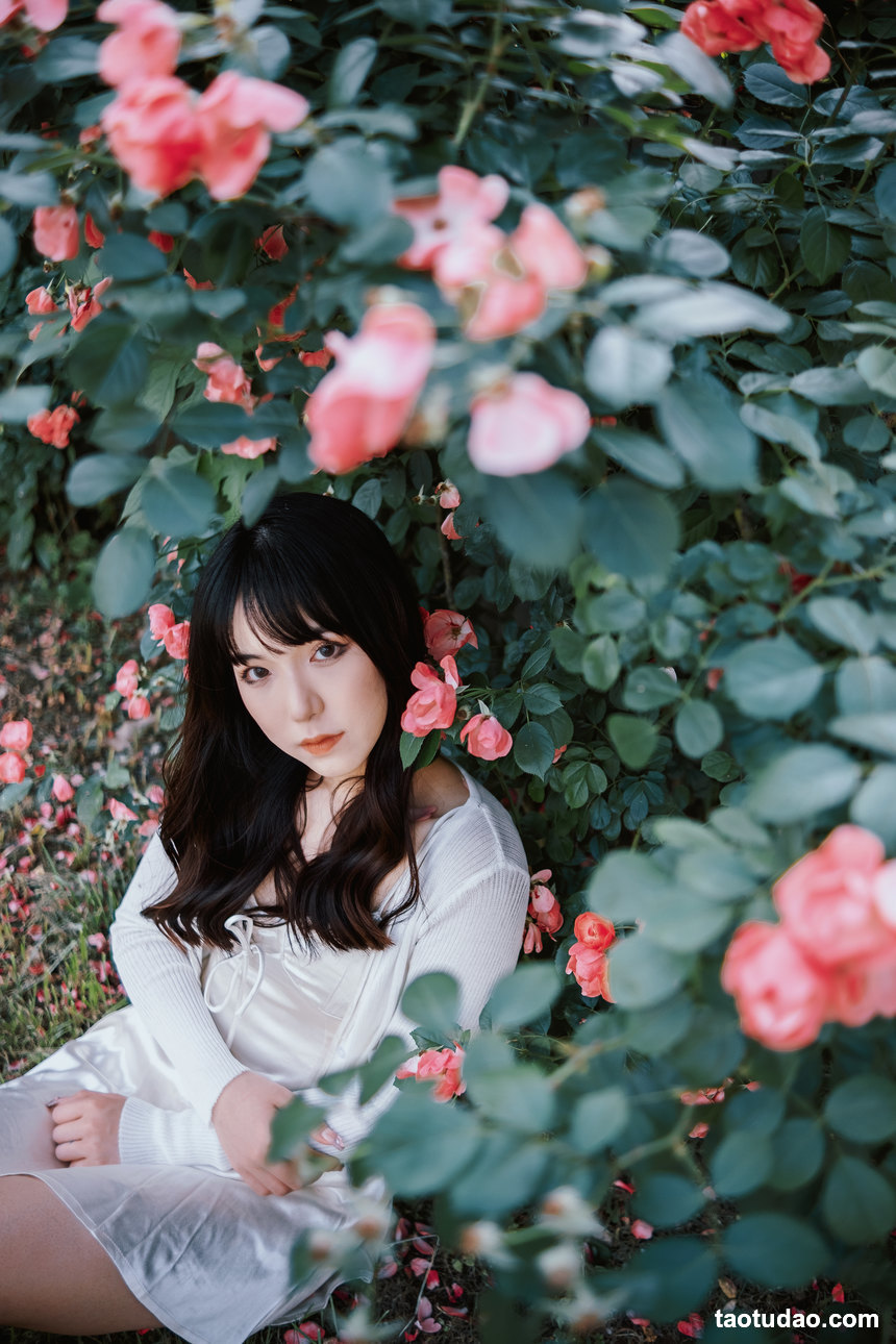图片[2]-[YITUYU艺图语]2022.06.10 蔷薇花下 依依[24+1P／385MB]-绅士图