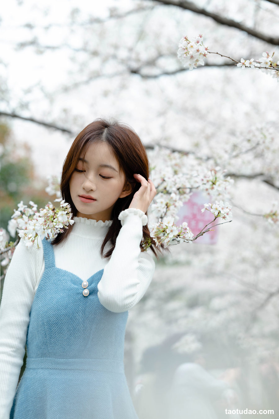 图片[3]-[YITUYU艺图语]2023.04.08 樱花物语 钰儿[31+1P／320MB]-绅士图