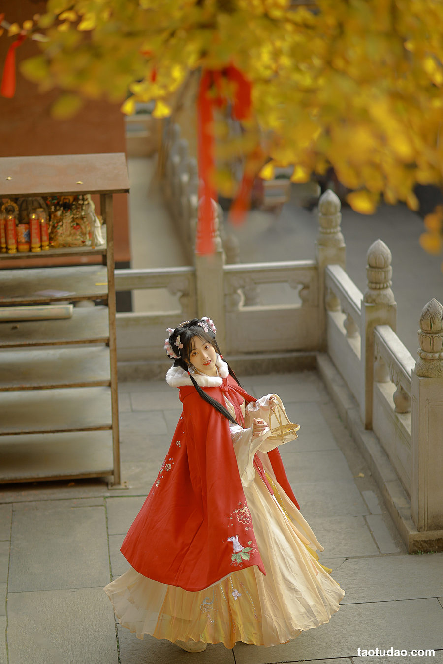 图片[4]-[YITUYU艺图语]2023.02.13 银杏汉服 是蝶绪咩[21+1P／146MB]-绅士图