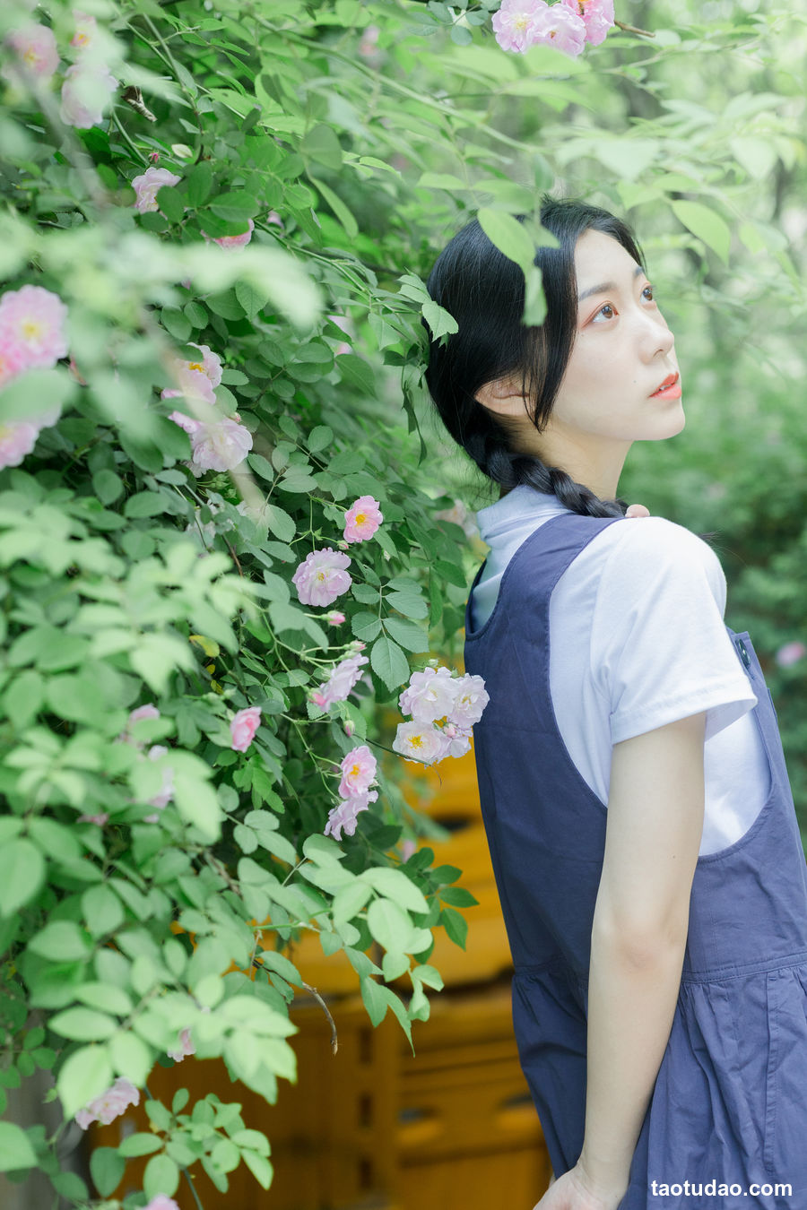 图片[3]-[YITUYU艺图语]2023.02.11 除了春天和蔷薇 饲猫少女-[25+1P／334MB]-绅士图