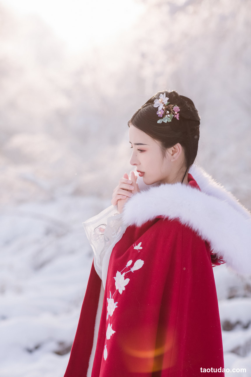 [YITUYU艺图语]2022.07.08 异乡雪 沐槿cutie[31+1P／282MB]-绅士图