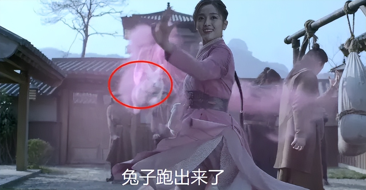 斗罗:电视剧武魂VS动漫武魂,差别有多大?小舞的兔子毁得很彻底