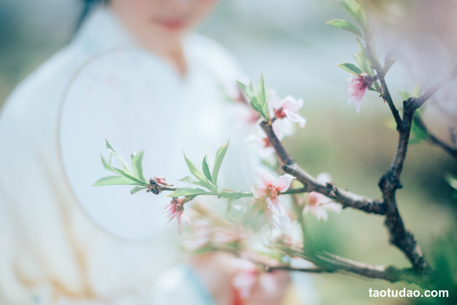 图片[3]-[YITUYU艺图语]2023.05.02 桃夭 安迪[22+1P／213MB]-绅士图