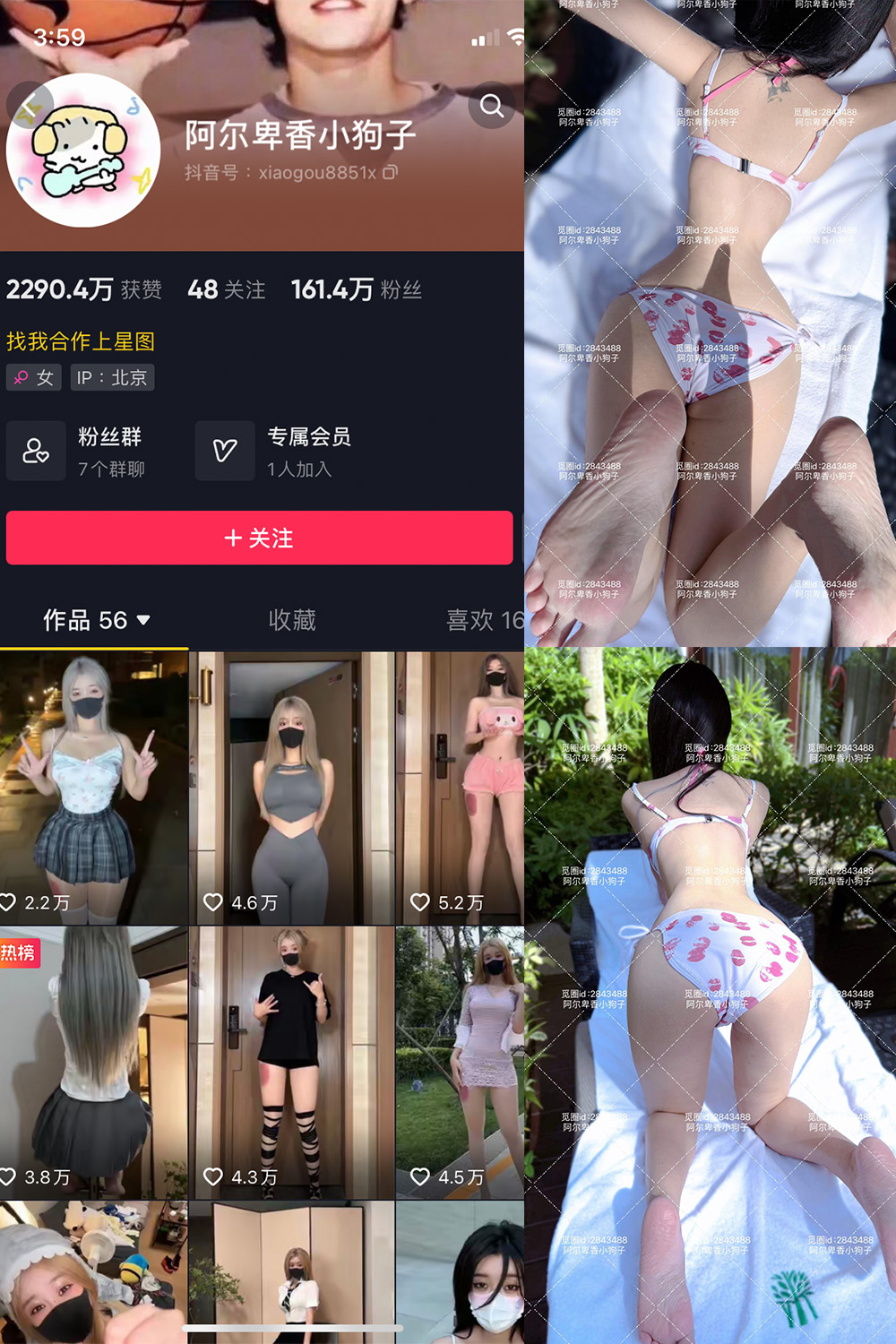 抖音 阿尔卑香小狗子 微密圈  NO.060期 【17P】最新至：2025.2.8-绅士图