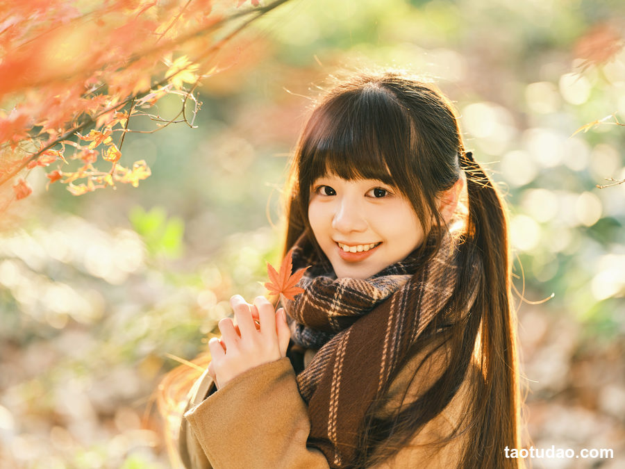 图片[4]-[YITUYU艺图语]2023.02.17 枫 宵宵喵[33+1P／472MB]-绅士图