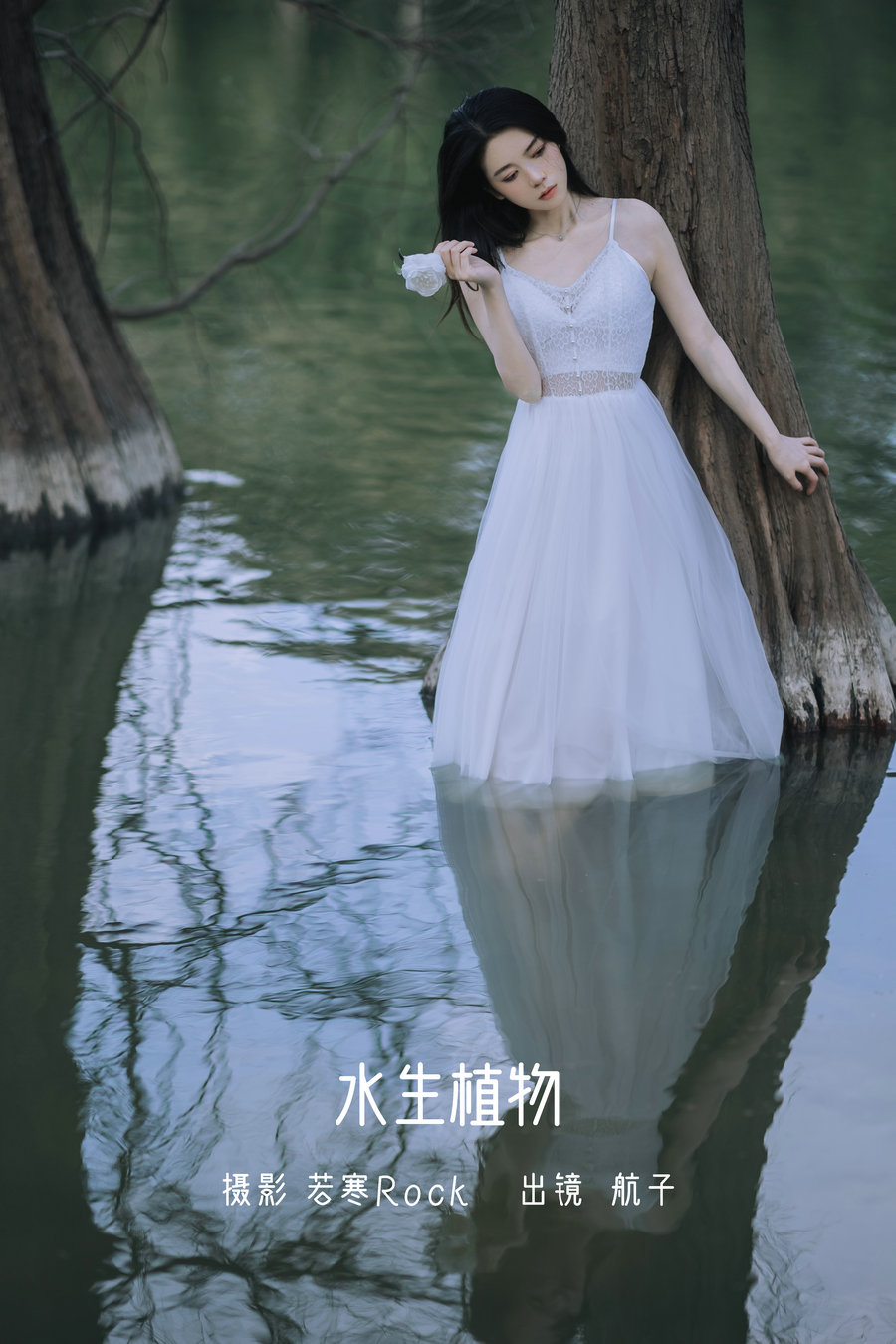/ YITUYU /艺图语 2022.07.11 水生植物 航子就是航子呀 / 23P-175MB / 机构-艺库