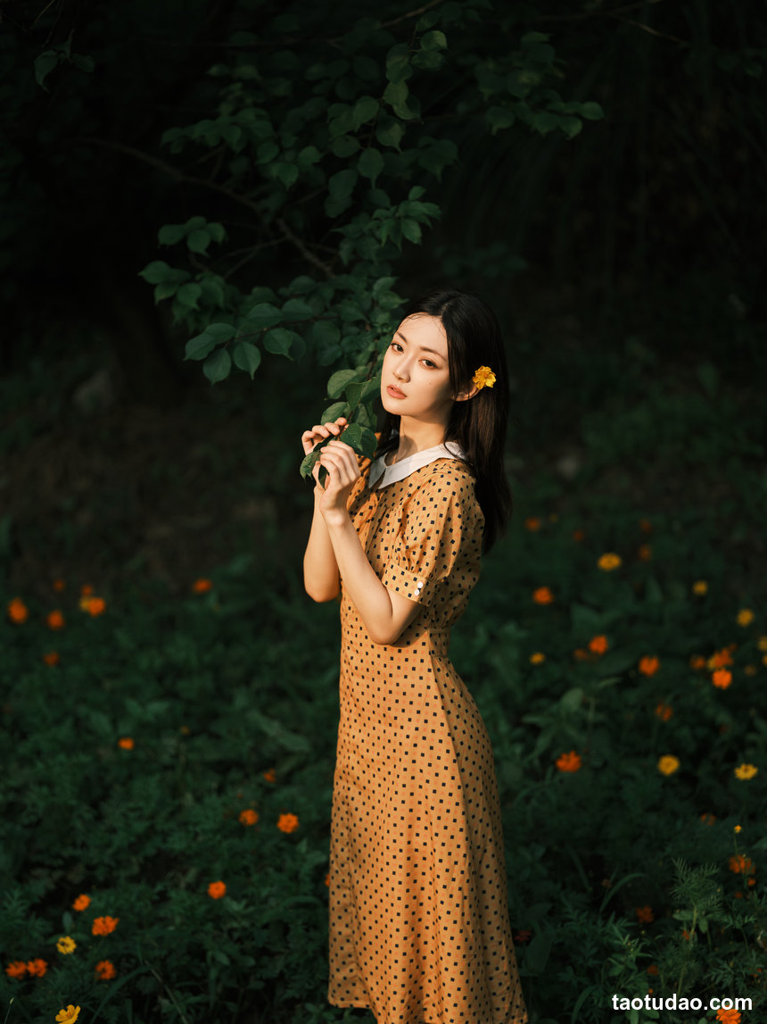 图片[2]-[YITUYU艺图语]2022.08.08 硫华菊&柳叶马鞭草-是夏天的味道呀！ 飞鸟咕咕-[43+1P／1.08GB]-绅士图