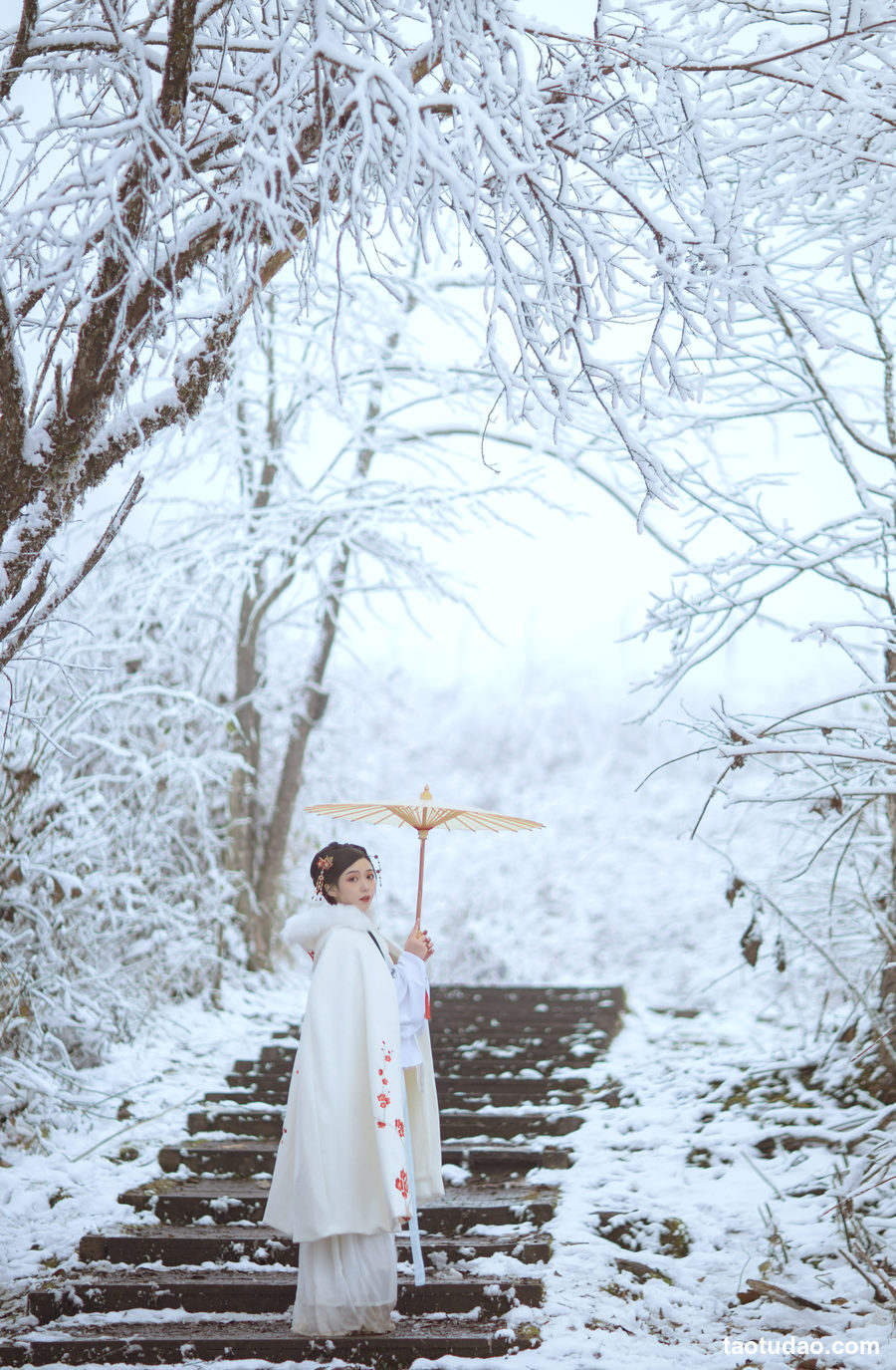 图片[2]-[YITUYU艺图语]2023.04.19 梅花香自苦寒来 小风[24+1P／160MB]-绅士图