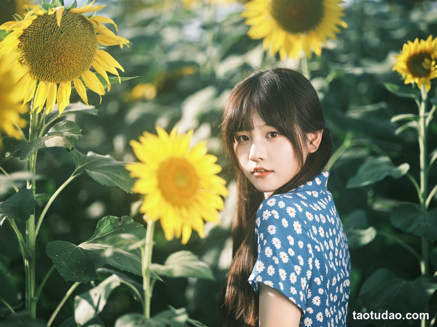 图片[3]-[YITUYU艺图语]2023.02.15 向日葵 宵宵喵[27+1P／313MB]-绅士图