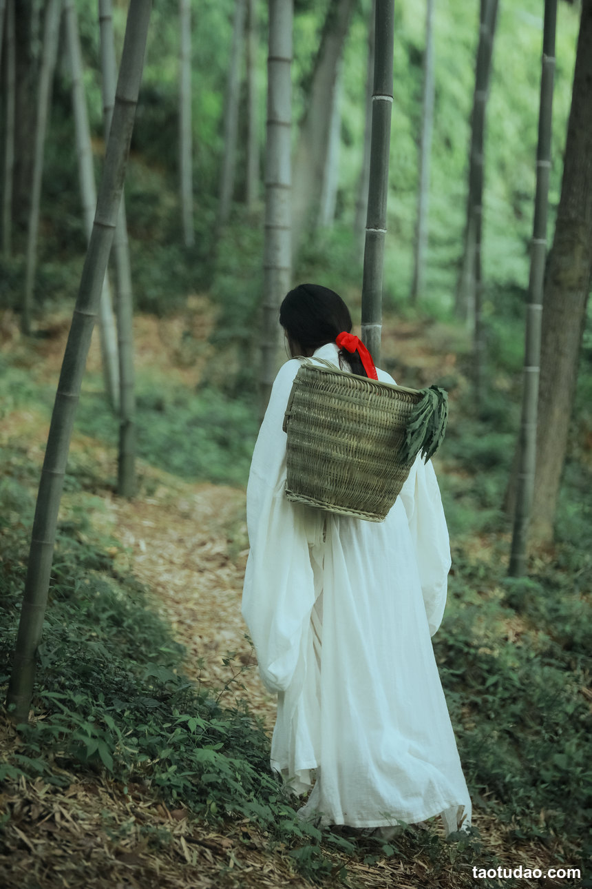 图片[2]-[YITUYU艺图语]2022.06.02 萤火 卓妍[27+1P／384MB]-绅士图