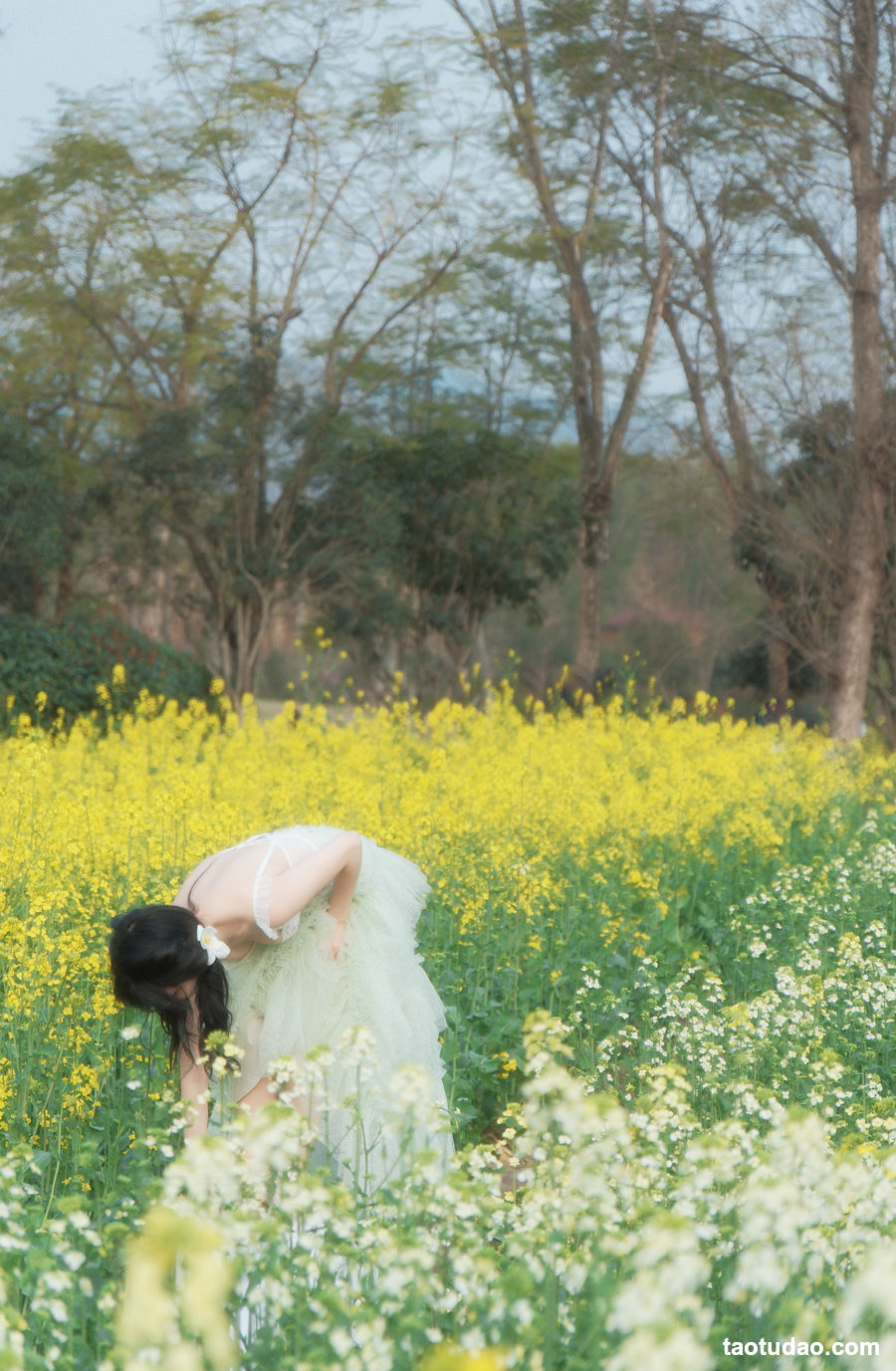 图片[3]-[YITUYU艺图语]2023.03.21 花田间 星之卡桃[19+1P／539MB]-绅士图