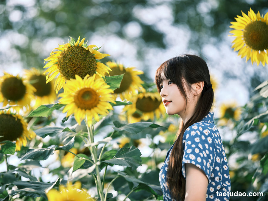 图片[2]-[YITUYU艺图语]2023.02.15 向日葵 宵宵喵[27+1P／313MB]-绅士图