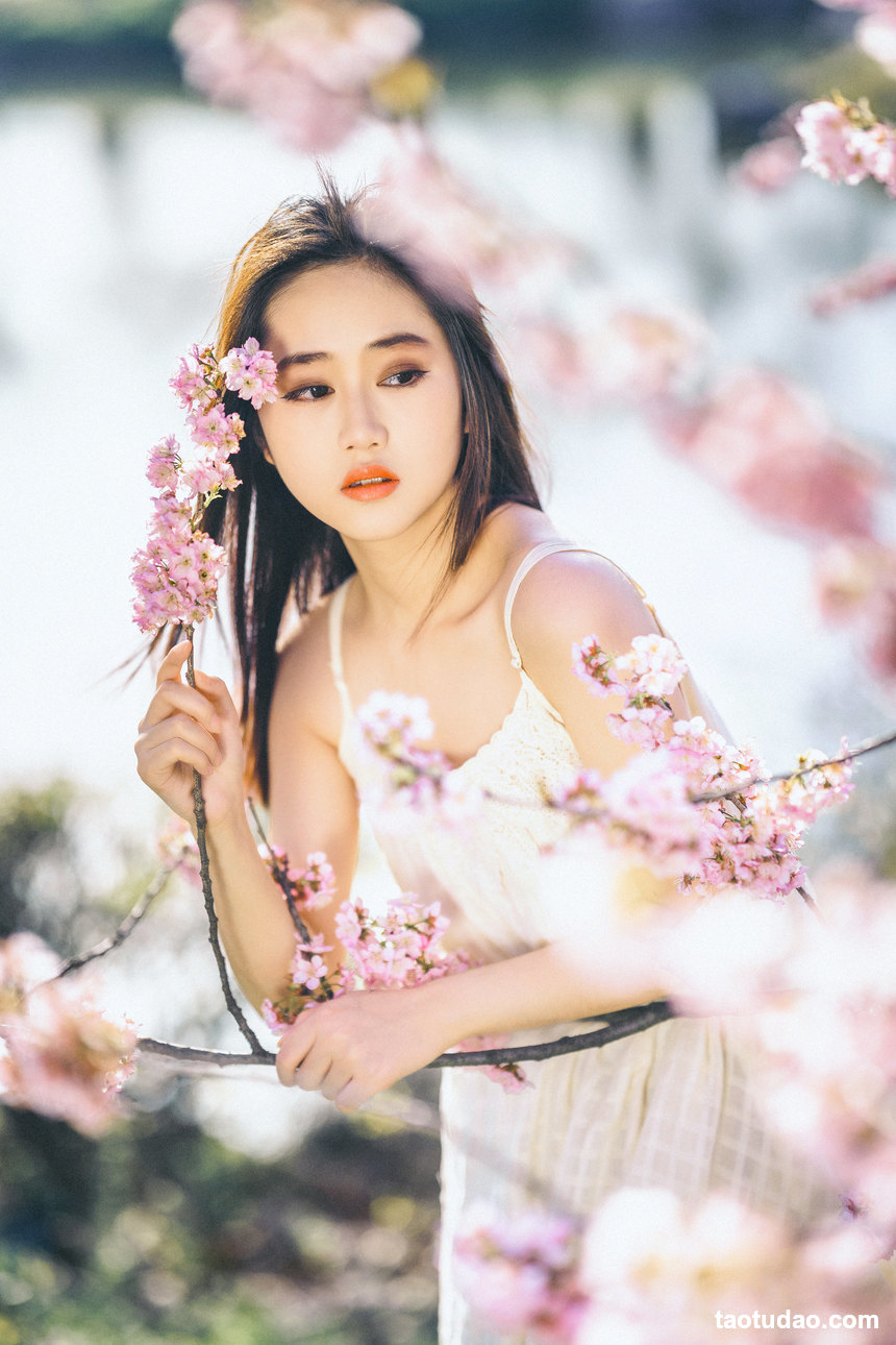 图片[3]-[YITUYU艺图语]2022.04.20 樱花物语 乐乐[21+1P／360MB]-绅士图