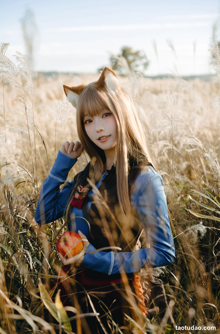 图片[4]-ElyEE子 – 2024年12月订阅 B-Soft Glow狼與暖陽 [52+1V-190MB]-绅士图