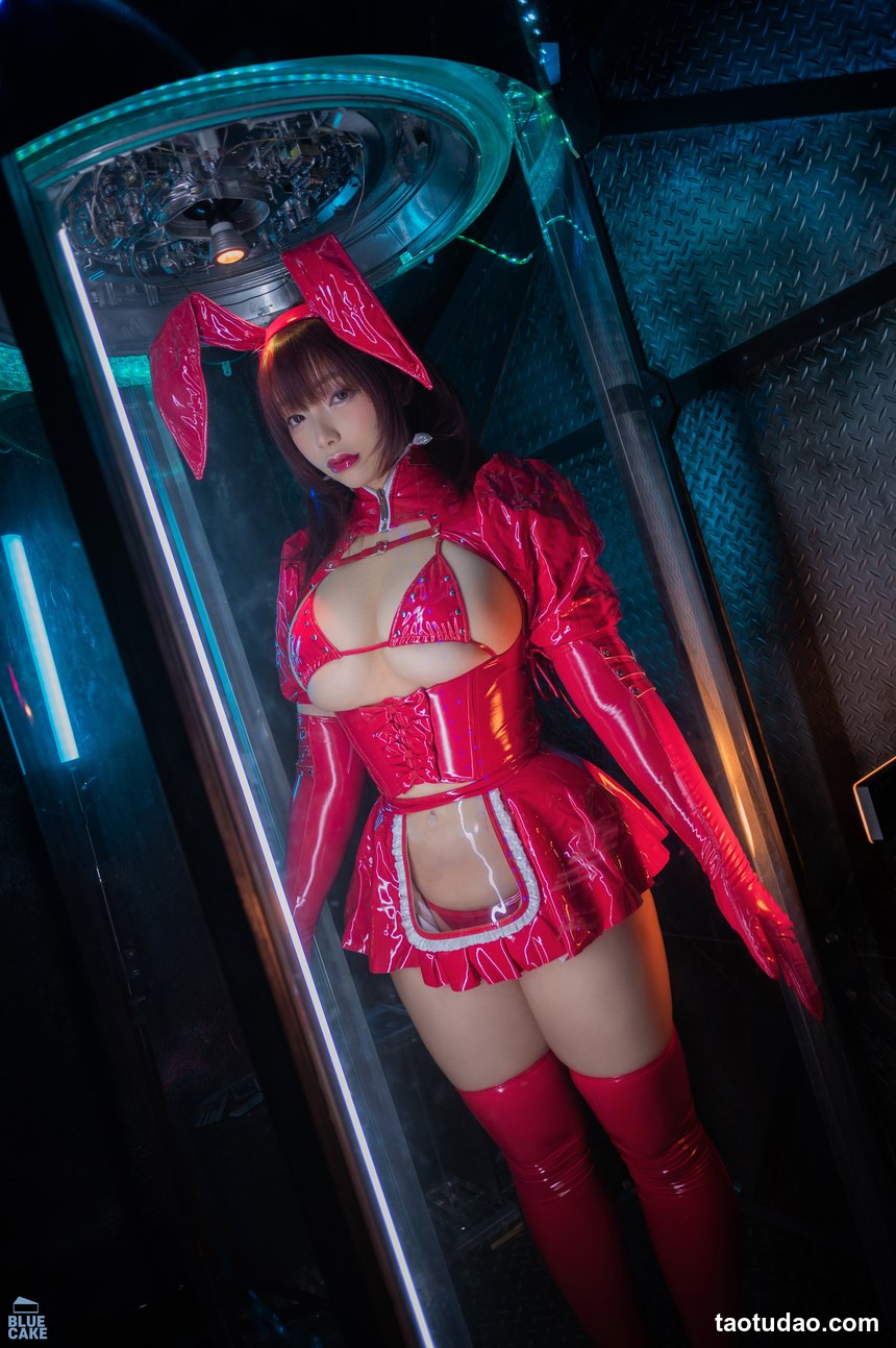 图片[2]-[BLUECAKE] Tunamayo RED&PINK 01 [55P-650MB]-绅士图