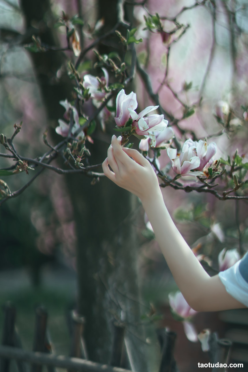 图片[2]-[YITUYU艺图语]2022.05.07 春花落 初茶[34+1P／470MB]-绅士图