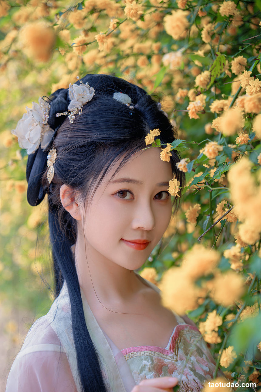 图片[2]-年年nnian –  海棠仙[84P-342.4M]-绅士图