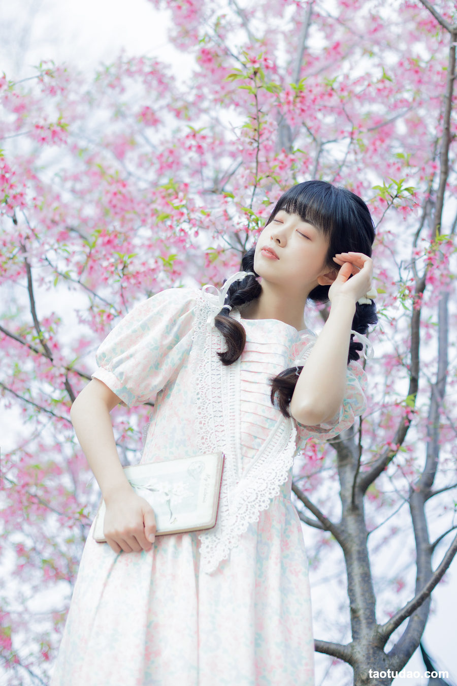 图片[3]-[YITUYU艺图语]2023.03.29 春日樱花记忆 一只暖暖[30+1P／250MB]-绅士图