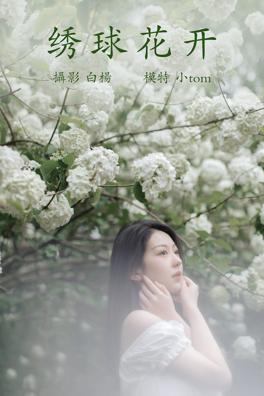 / YITUYU /艺图语 2021.12.31 绣球花开 小tom / 21P-271MB / 机构-艺库