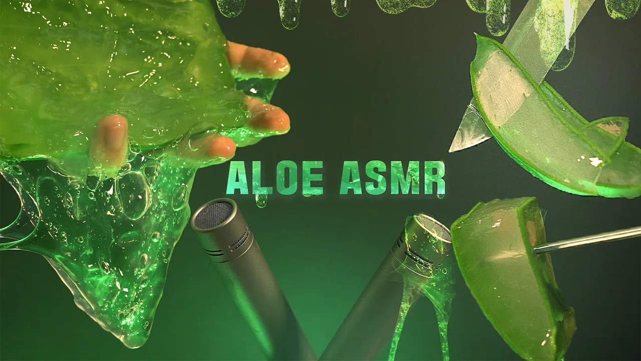 [Suna]芦荟按摩|芦荟切片|ASMR免疫|无人声-ASMR Suna 꿀꿀선아 / 韩国ASMR-绅士图