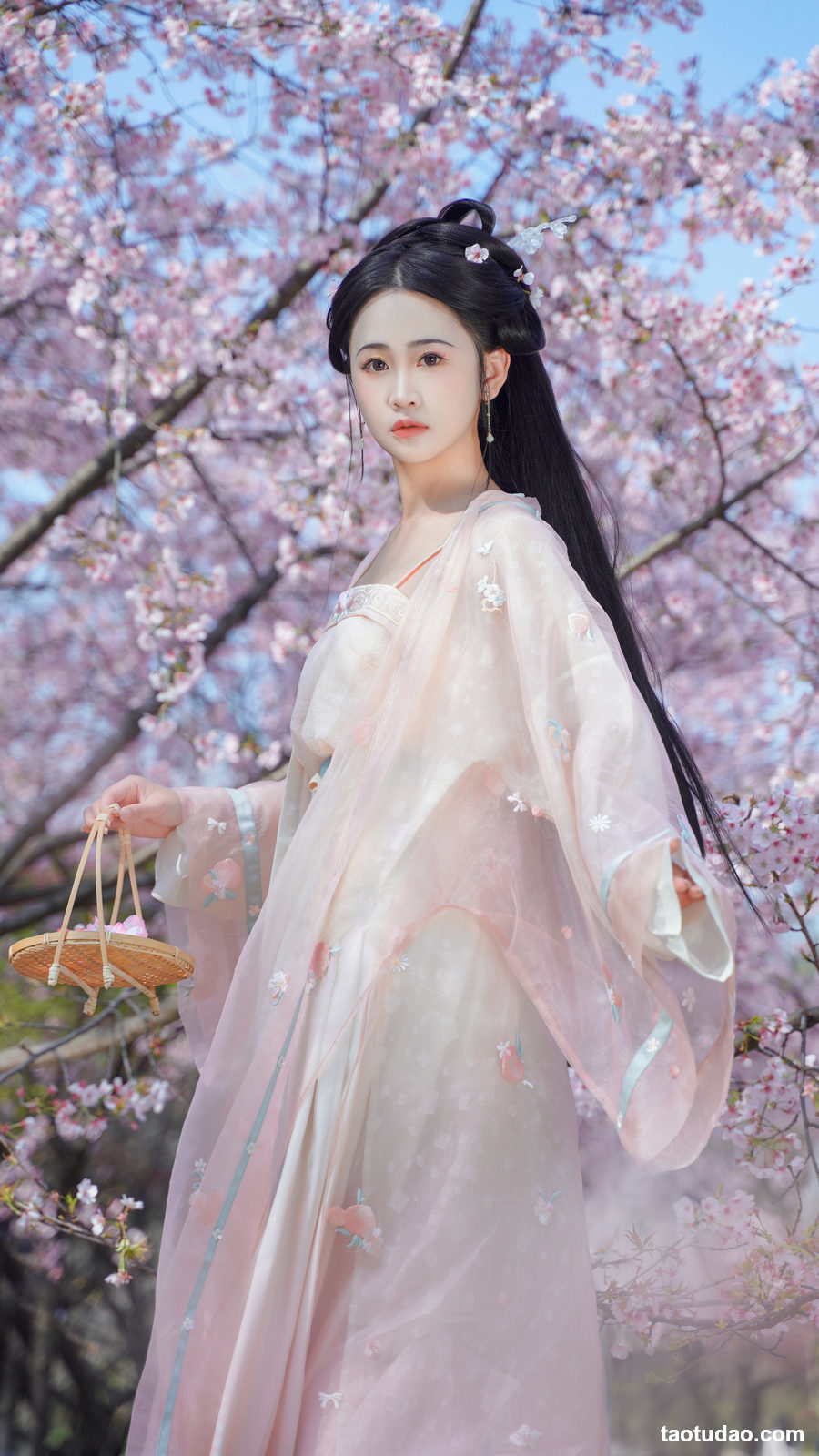 图片[3]-[YITUYU艺图语]2023.03.18 樱之花 湫一只岁岁[22+1P／268MB]-绅士图