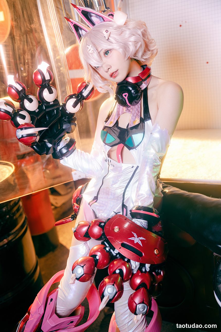 图片[2]-花铃 -交错战线 绯猁机甲猫猫 [20P-171MB]-绅士图