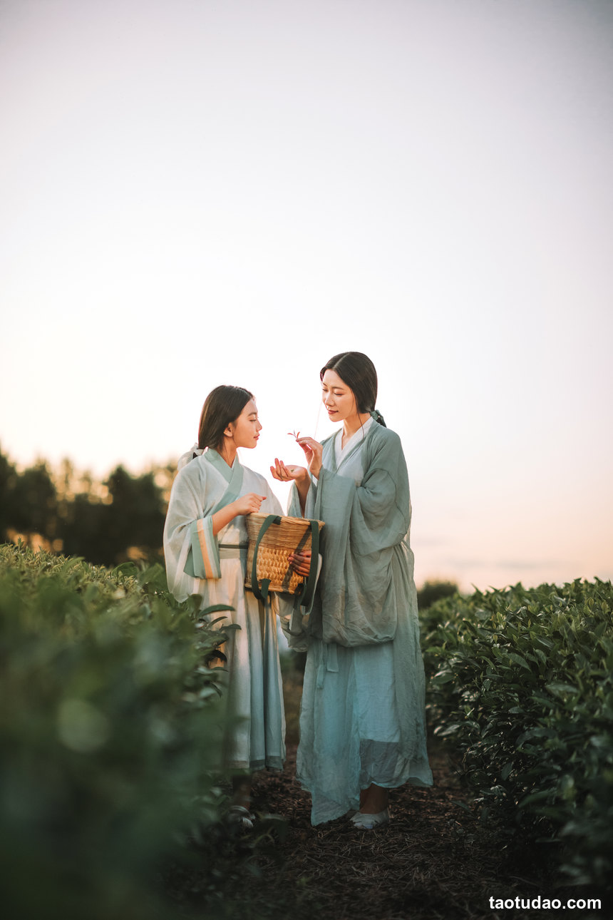 图片[2]-[YITUYU艺图语]2022.04.11 茶园 木景抒[32+1P／365MB]-绅士图