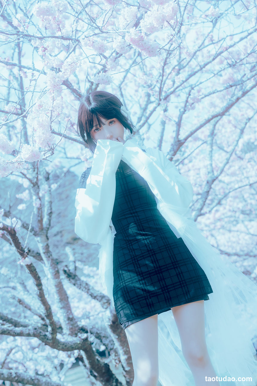 [Elyee]2024 3-5 月 Tier3 合集[247P-899M]-绅士图