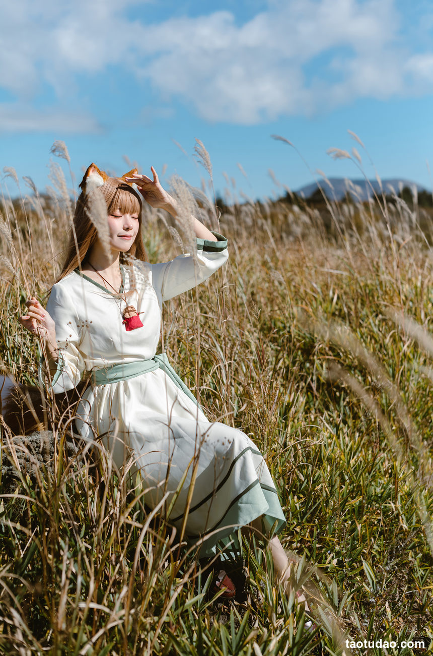 图片[4]-ElyEE子 – 2024年12月订阅 -Breeze狼與微風 [34P+3V-207MB]-绅士图